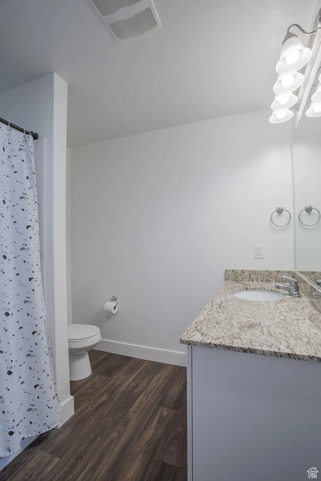 Bathroom with vanity, dark wood-type flooring, and a shower stall