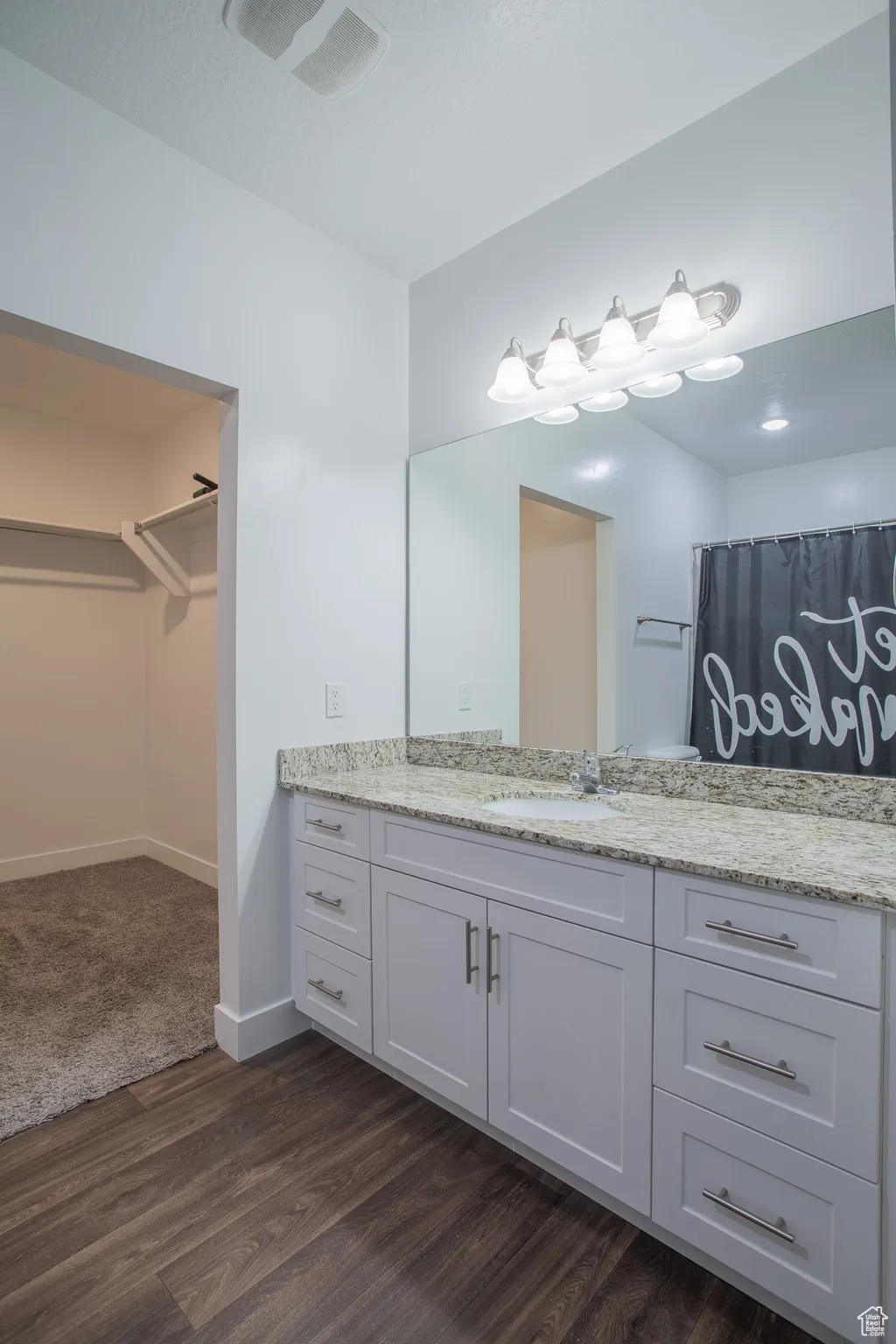 Full bathroom featuring vanity, dark wood-style flooring, and a walk in closet
