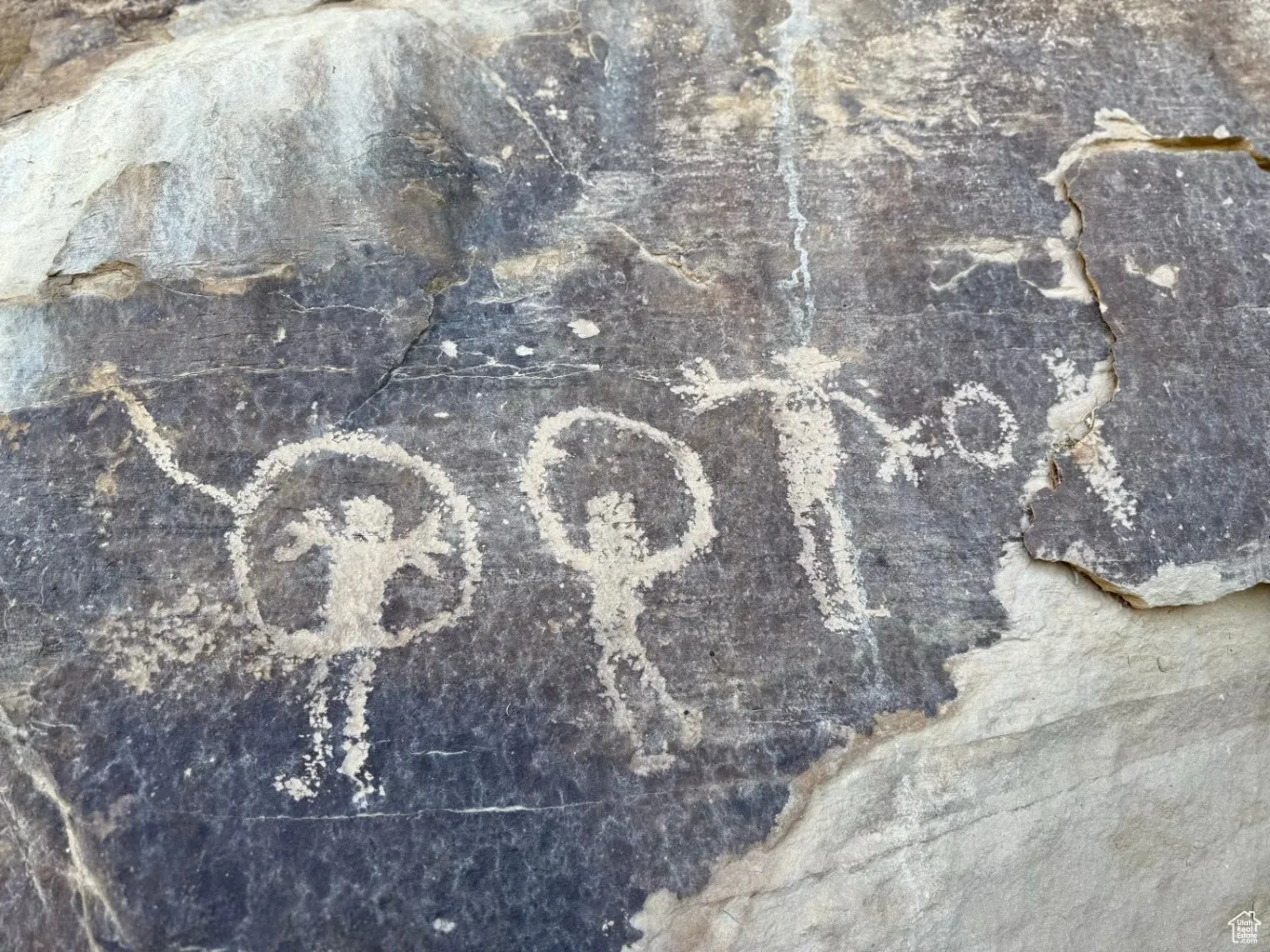 Detailed view