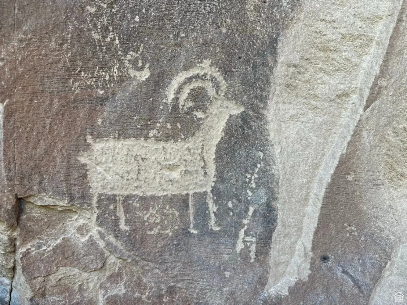 Detailed view