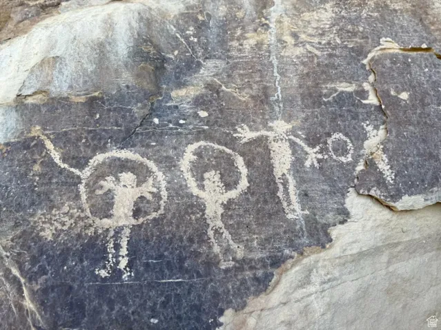 Detailed view