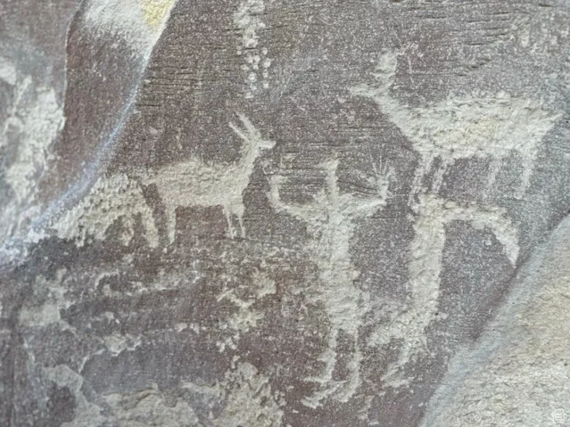 Detailed view