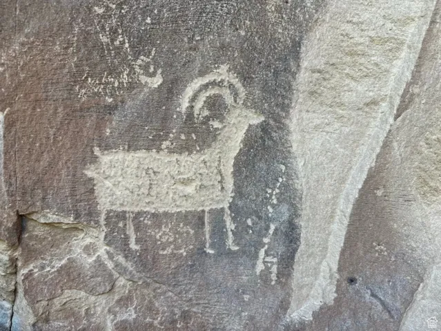 Detailed view