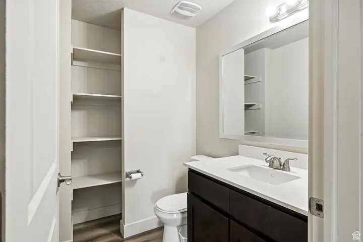 Bathroom with vanity, dark wood-style floors, a textured ceiling, and a closet
