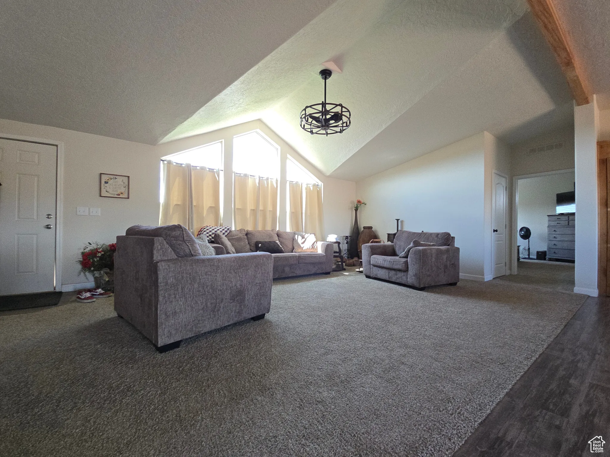Living room with lofted ceiling, a textured ceiling, carpet flooring, and wood finished floors
