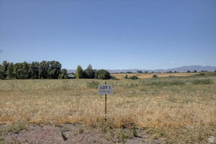 View of yard with a rural view and a mountain view