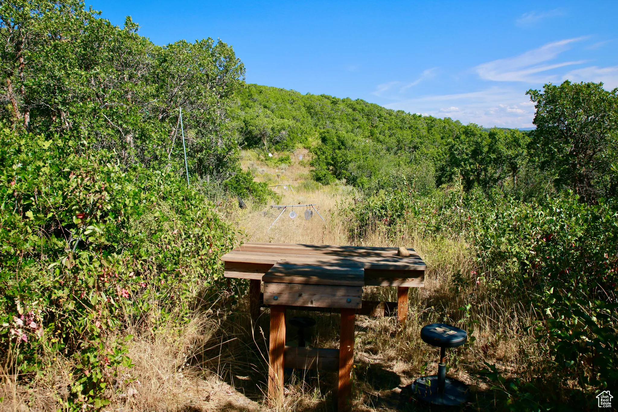 View of yard featuring a wooded view