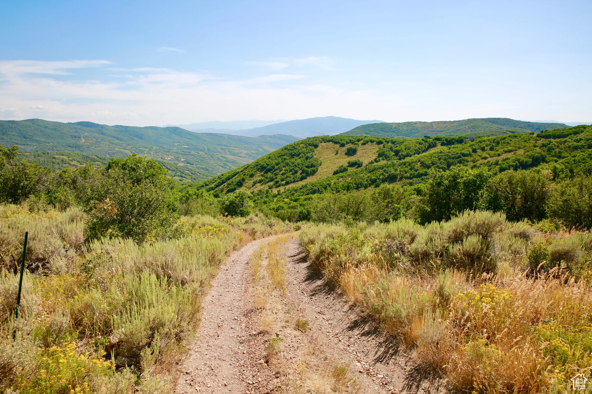 View of mountain background
