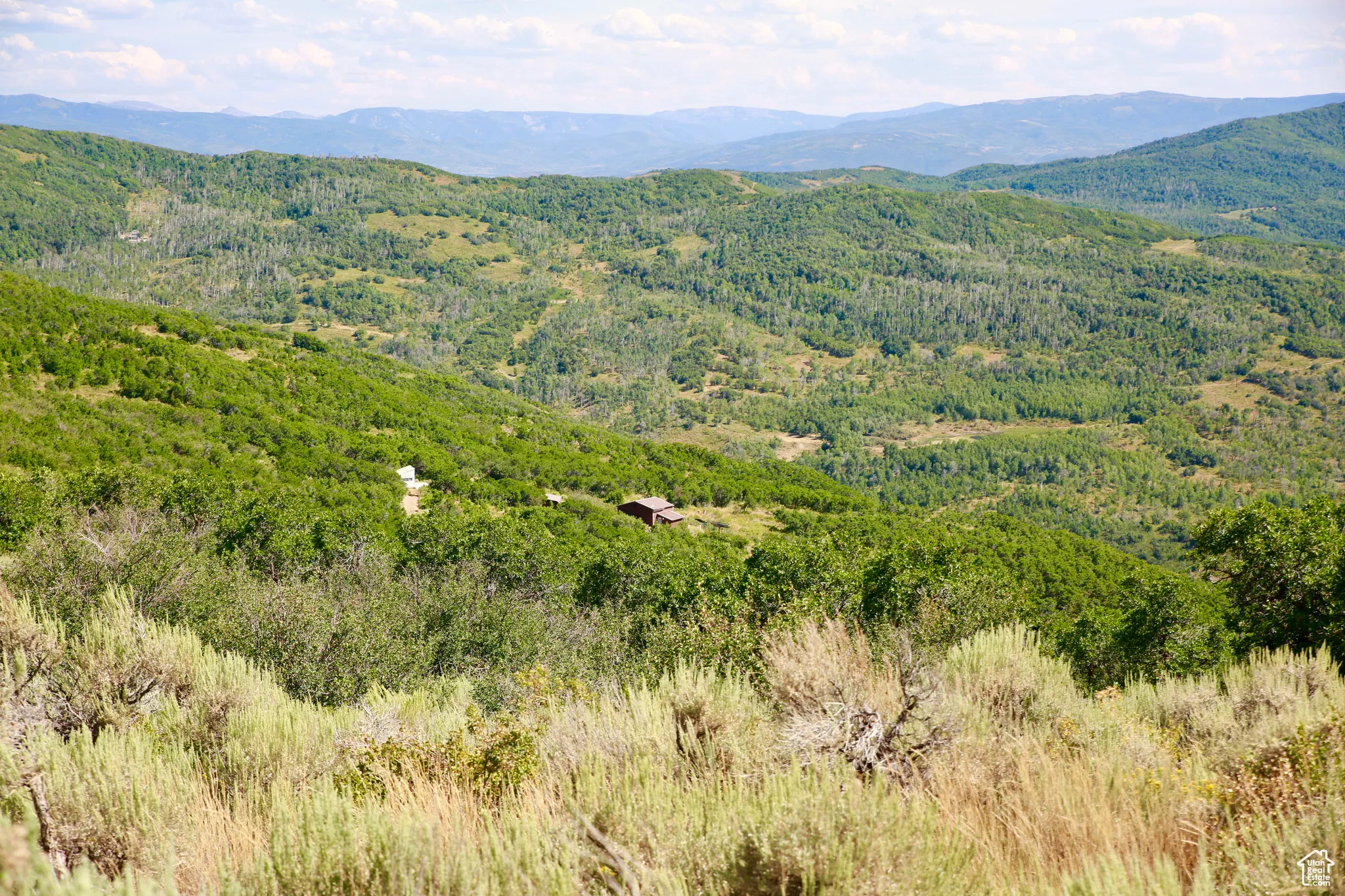 View of mountain background with a forest