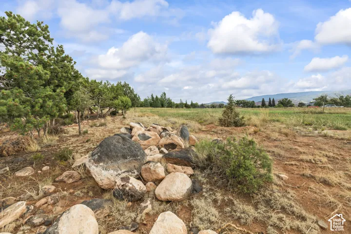 View of yard featuring a rural view