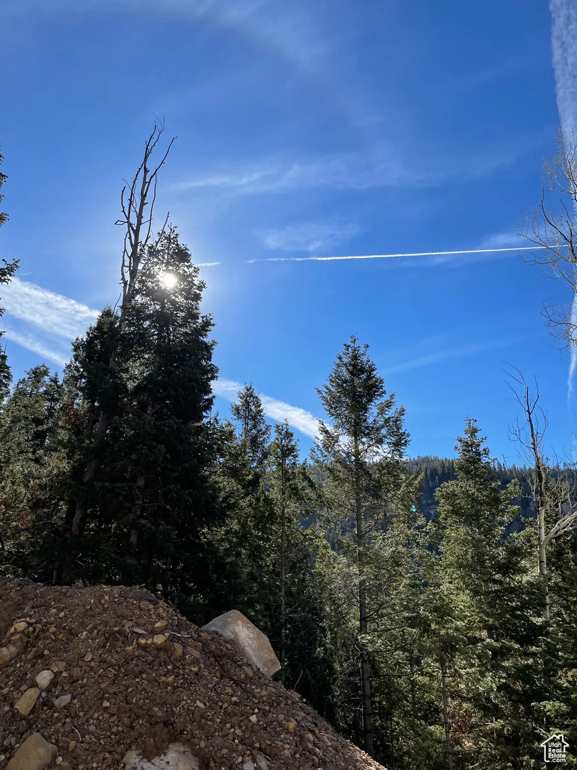 View of mountain backdrop featuring a heavily wooded area