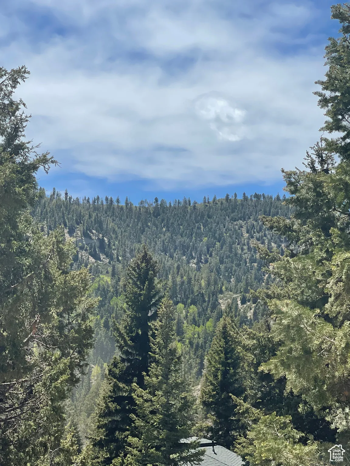 View of mountain backdrop featuring a heavily wooded area
