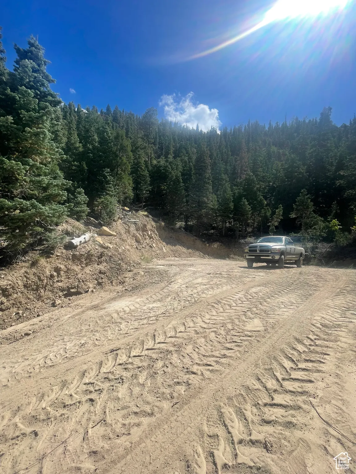 View of dirt / gravel road with a view of trees