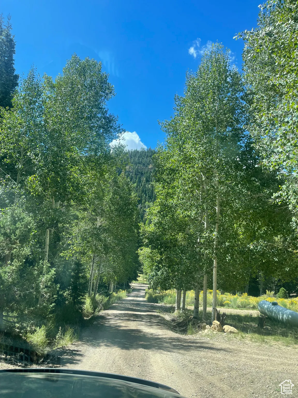 View of dirt / gravel road with a view of trees