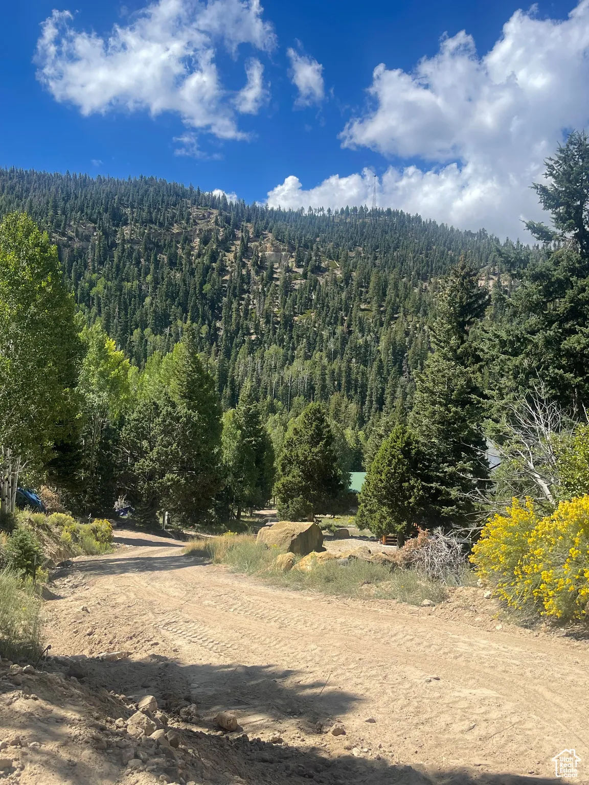 View of mountain backdrop with a heavily wooded area
