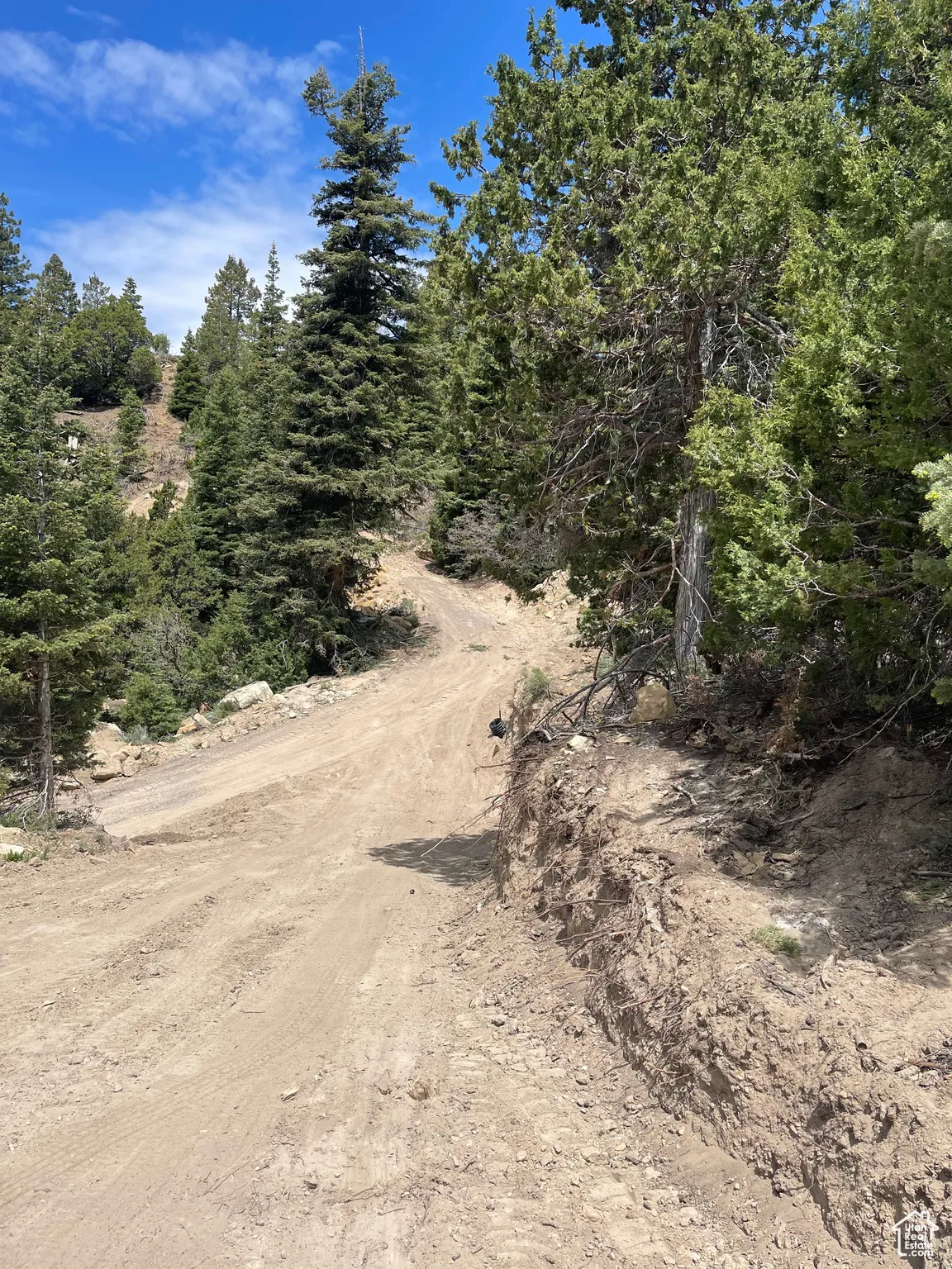 View of dirt / gravel road