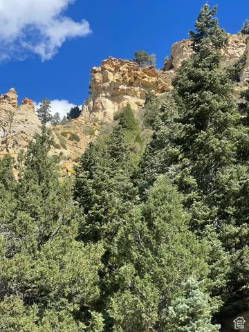 View of mountain background
