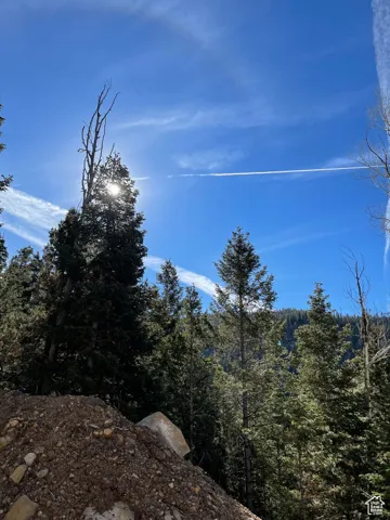 View of mountain backdrop featuring a heavily wooded area