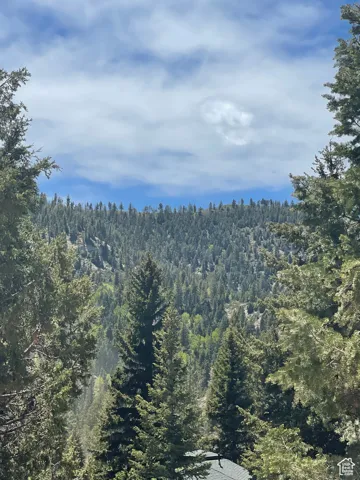 View of mountain backdrop featuring a heavily wooded area