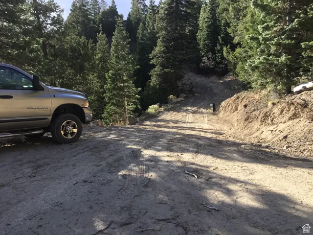 View of dirt / gravel road