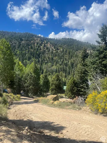 View of mountain backdrop with a heavily wooded area