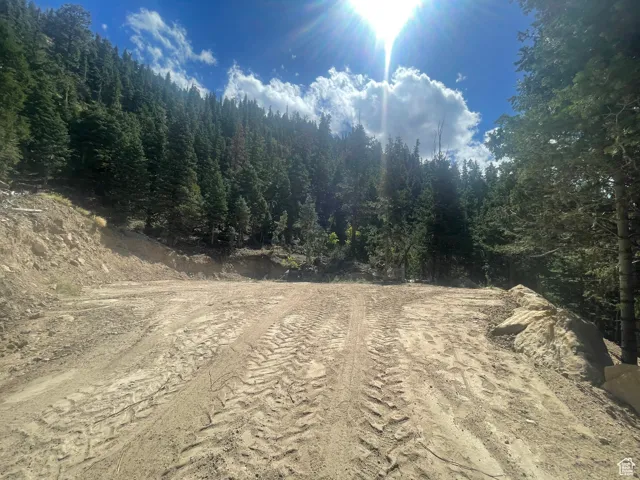 View of dirt / gravel road with a view of trees
