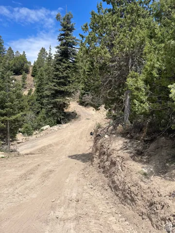 View of dirt / gravel road