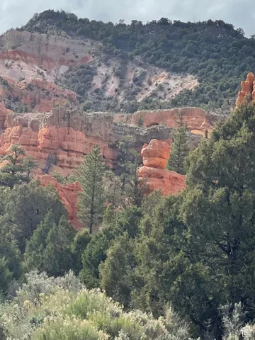 Mountain view featuring a forest