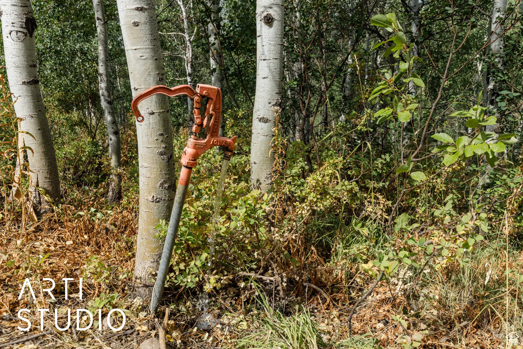 Potable, spring water.