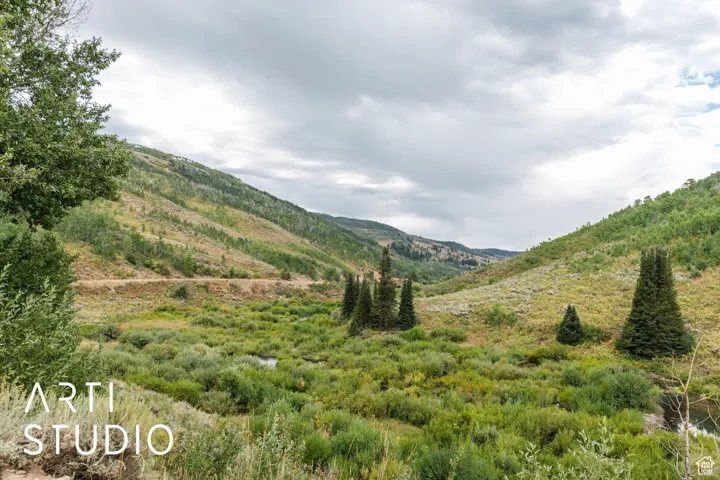 The valley below the lot