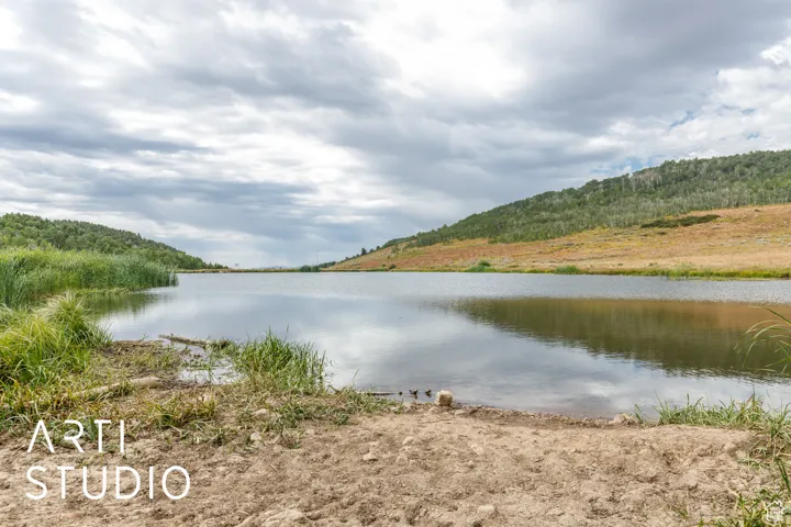 Moose Lake!
