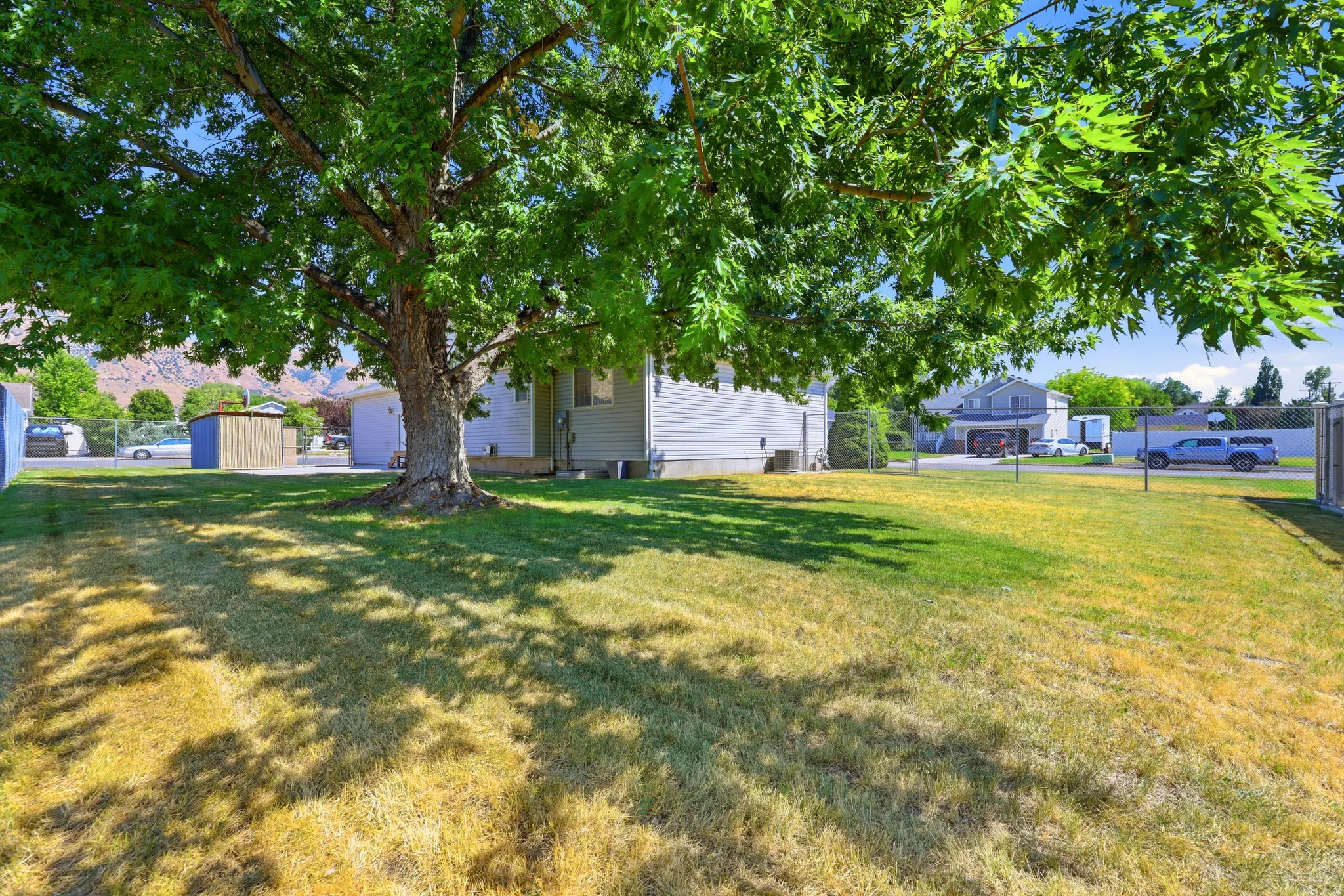 Expansive lawn featuring a mature shade tree, a residential structure with light-colored siding, and a wooden shed