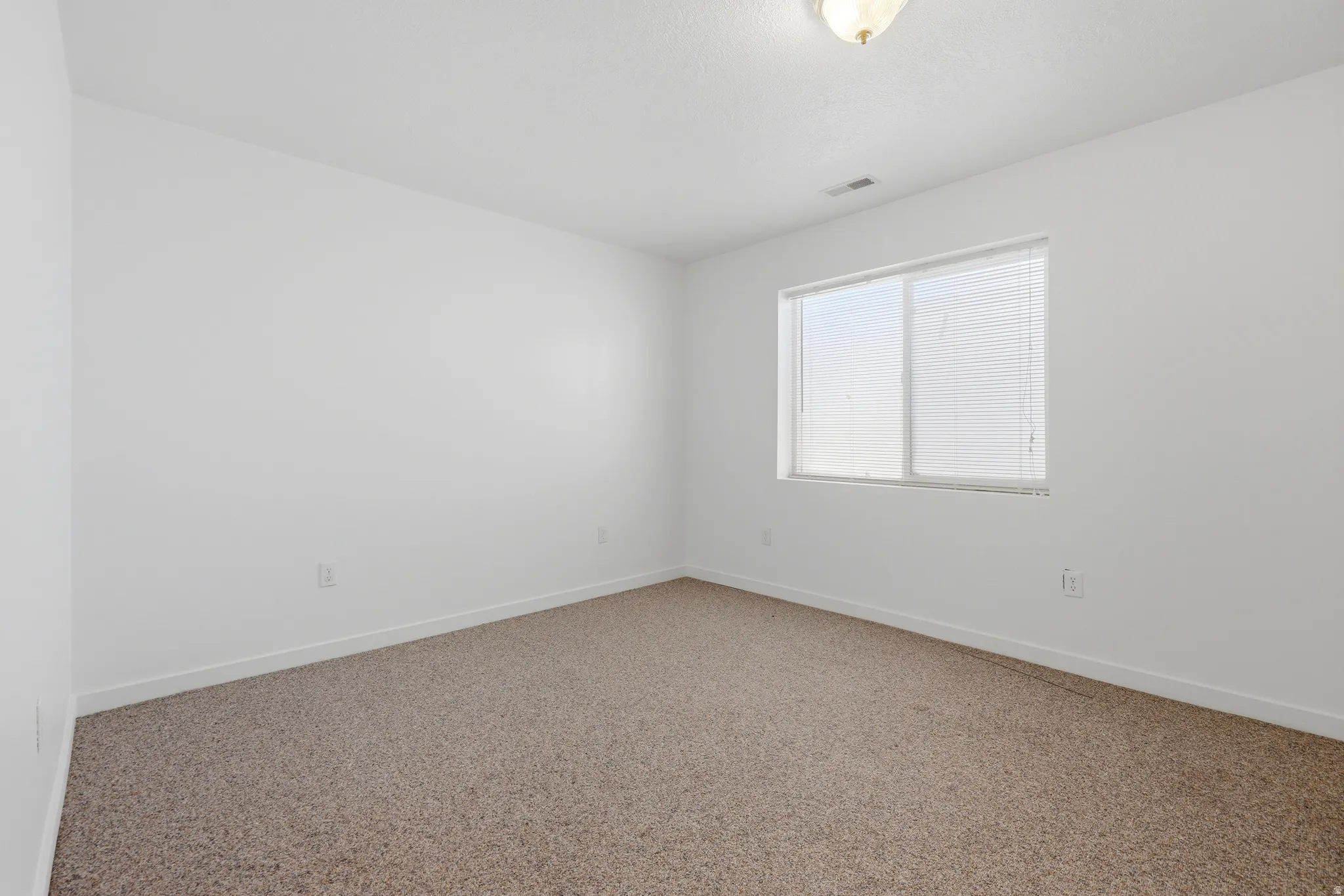 Room featuring neutral carpeting, white walls, a single window with blinds, and a flush-mount ceiling light fixture