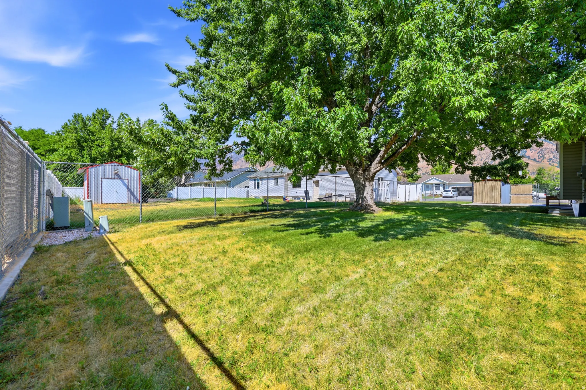 Expansive green space featuring mature trees, a metal storage shed, and chain-link fencing