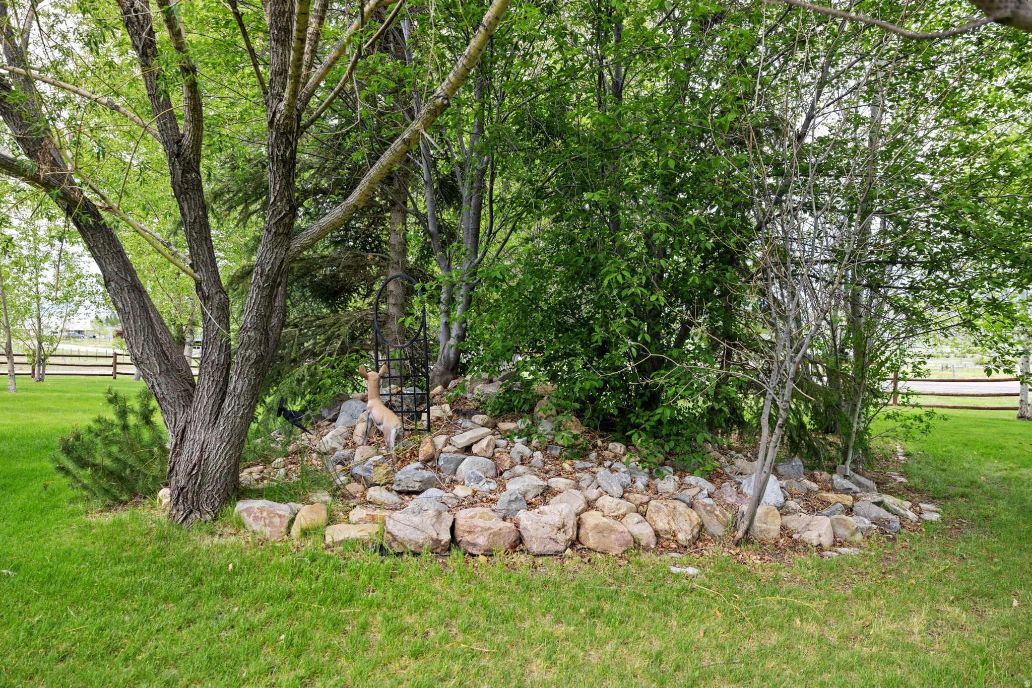 Yard