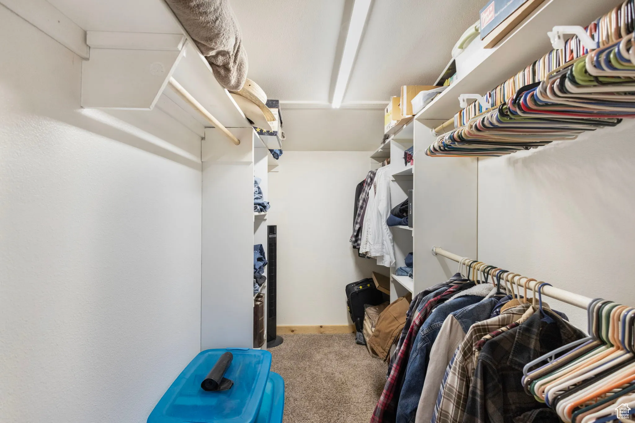 Walk in closet featuring light carpet