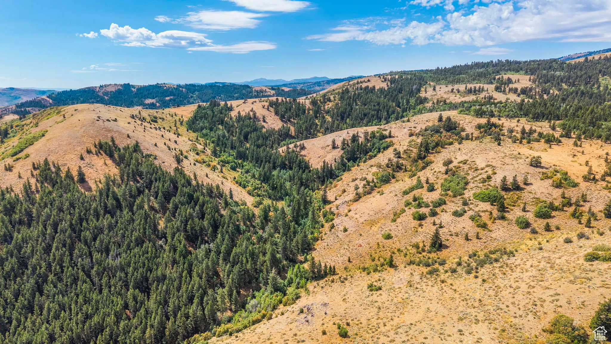 View of mountain background