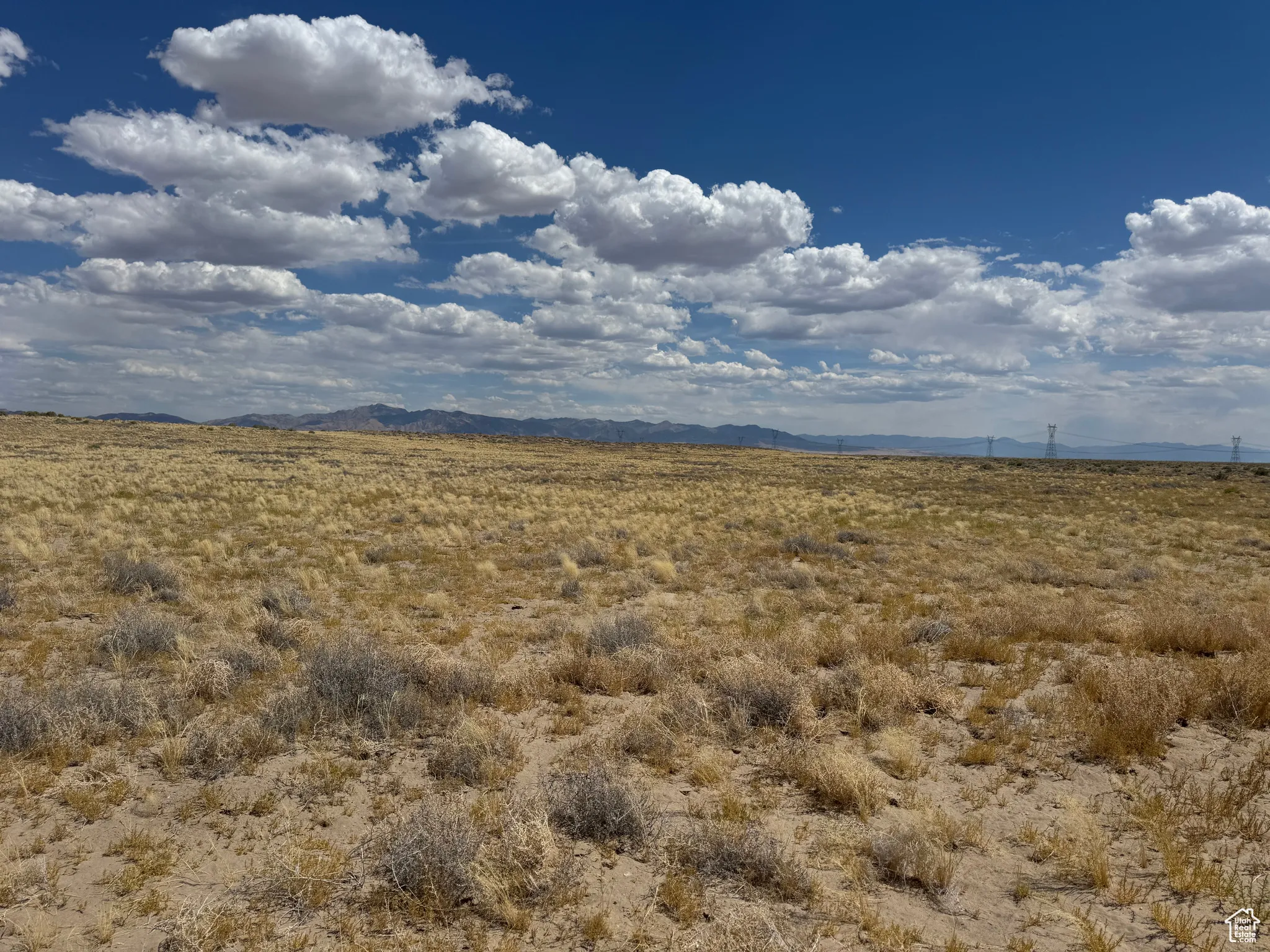 View of local wilderness with a mountain backdrop and rural landscape