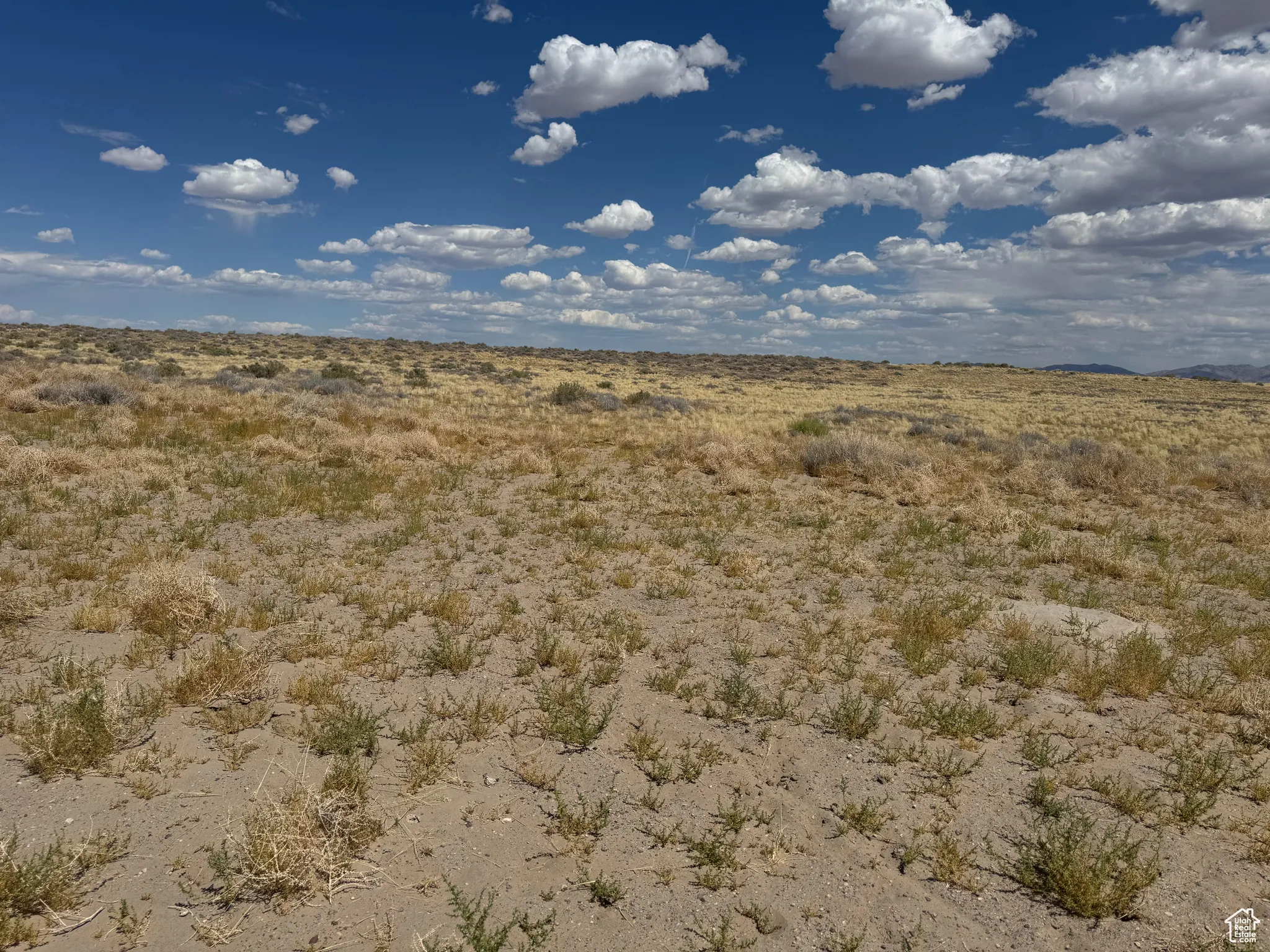 View of undeveloped land with rural landscape and a desert landscape