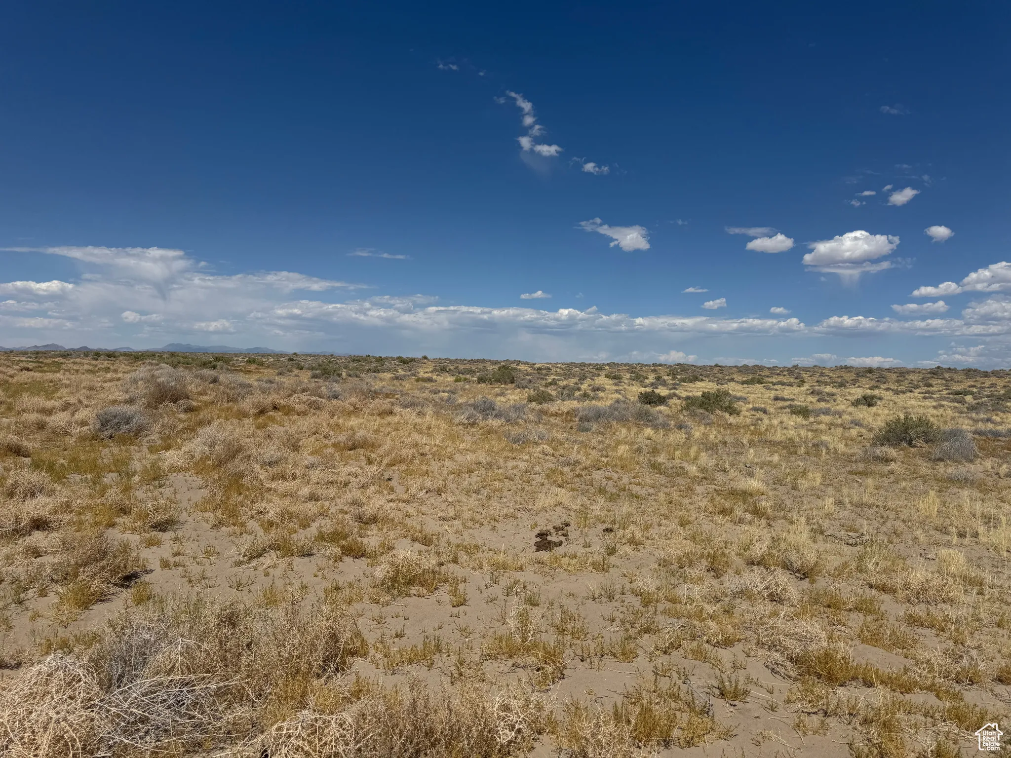 View of undeveloped land featuring rural landscape