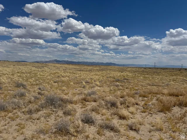 View of local wilderness with a mountain backdrop and rural landscape