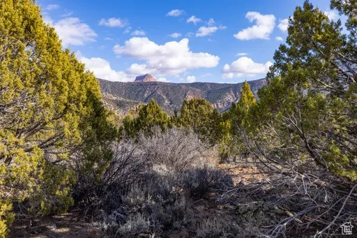 Mountain view with a heavily wooded area