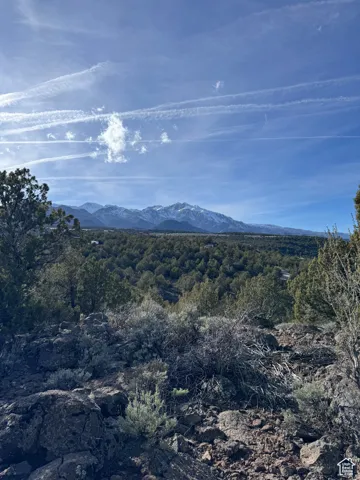 View of mountain backdrop with a forest