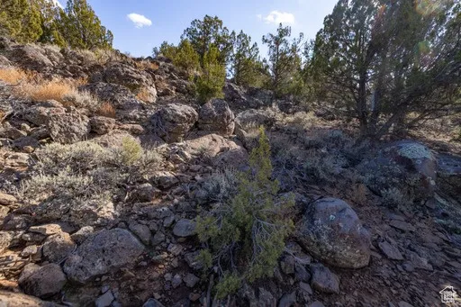 View of undeveloped land