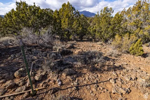View of undeveloped land