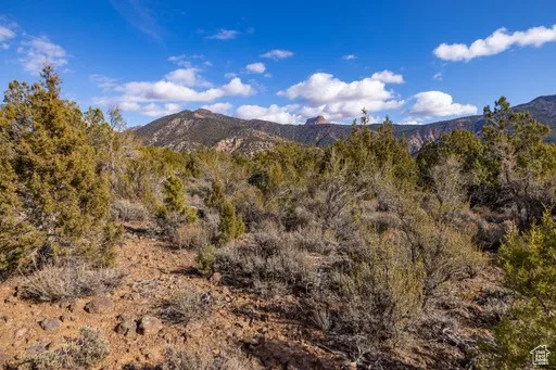 View of mountain backdrop featuring a heavily wooded area