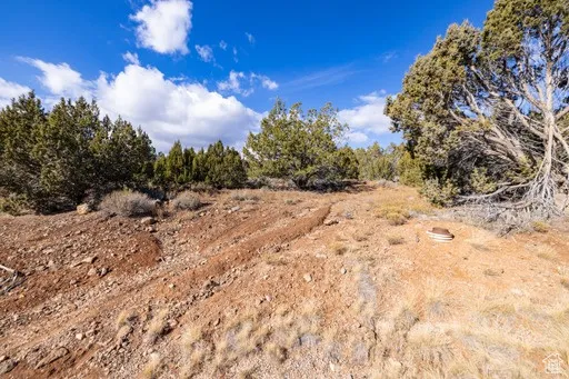 View of undeveloped land