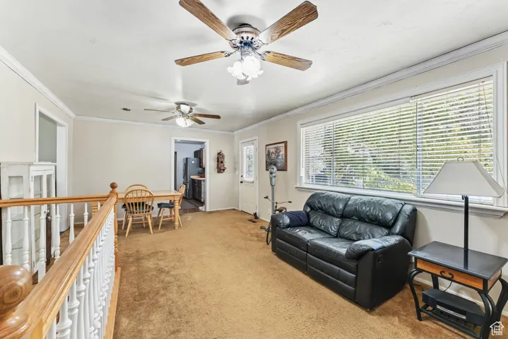 Carpeted living area with ornamental molding and a ceiling fan