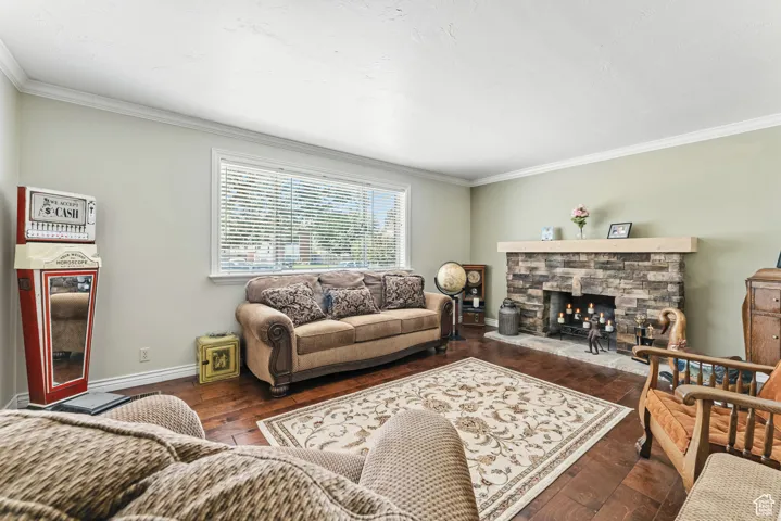 Living area featuring crown molding, dark wood-style floors, and a fireplace