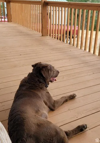 Everyone loves the deck